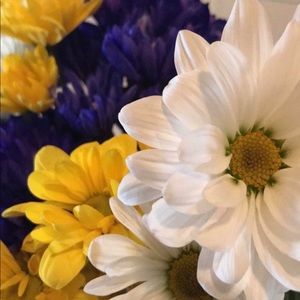 Meet your Posher, Sheila